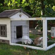 konijnenhok met lade pretty home konijnenhok met lade pretty home