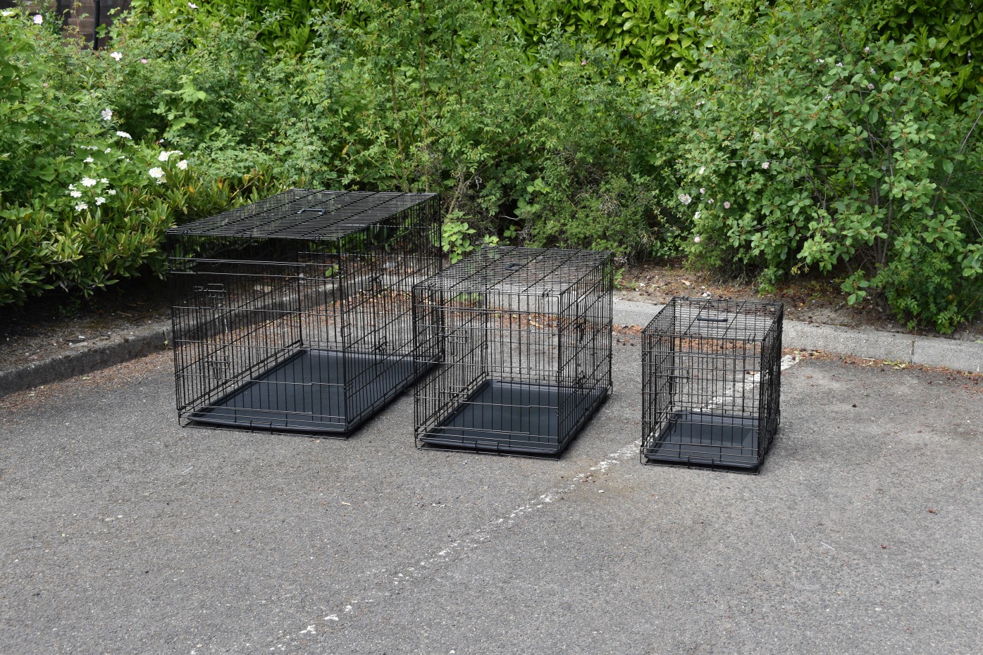 Grote bench kopen? Bench voor uw hond in alle maten!