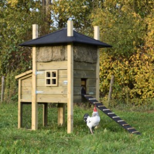 De hooiberg Rosalynn is geschikt voor kippen en konijnen