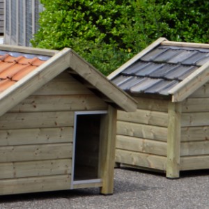 Hondenhok Reno van geïmpregneerd hout, leverbaar met verschillende dakpannen