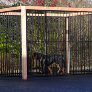 Hondenkennel met Lariks hout frame op kunststof voetjes, kennelpanelen (spijl) zwart gepoedercoat.