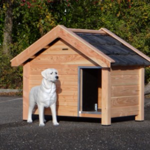 Hondenhok Reno is prima geschikt voor een Labrador of vergelijkbare hond