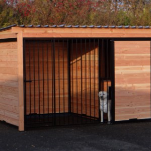 Hondenkennel FORZ zwart met Douglas houtkader