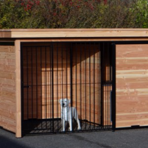 Hondenkennel FORZ zwart/Douglas met houtkader geïsoleerd nachthok en Luxe daksysteem 342x240 cm
