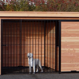 Hondenkennel 2x3 met Luxe daksysteem.