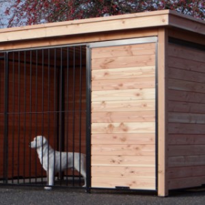 Hondenkennel FORZ zwart/Douglas met houtkader en Luxe daksysteem 342x240 cm