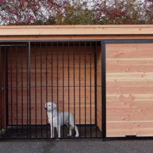 Hondenkennel FORZ zwart/Douglas met houtkader