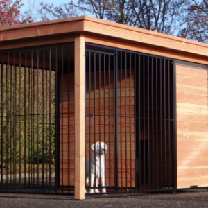 Hondenkennel zwart met Douglashout