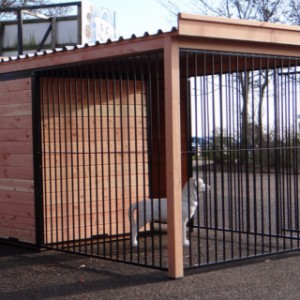 Hondenkennel met open ren, voorzien van dak