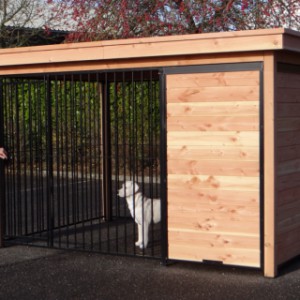 Houten hondenkennel met zwarte kennelpanelen