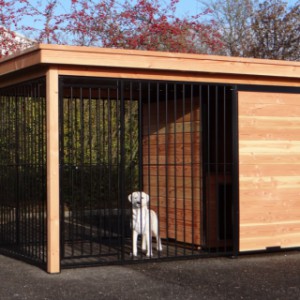 Grote hondenkennel FIX zwart met dak en Douglas houtkader 352x240 cm