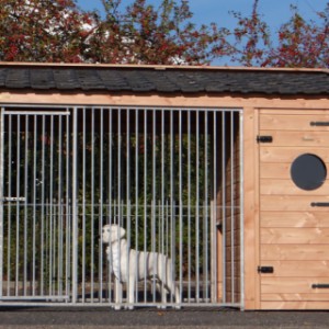 De hondenkennel Max 3 is voorzien van een geïsoleerd nachthok