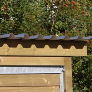 Kenneldak met overstek biedt bescherming tegen zon en neerslag.