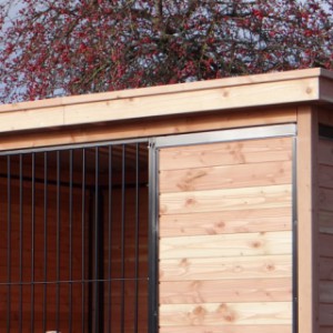 Kenneldak Lofty Luxe 218 Douglas biedt extra beschutting en is luxe afgewerkt