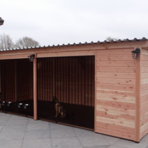 Luxe hondenkennel met verlichting en vloer