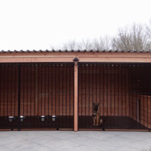 Hondenkennel van ruim 6x2,5 meter