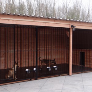 Grote hondenkennel met fraaie houtpanelen, voor meerdere honden