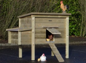 Kippenhok Chicky 2 met legnest Geïmpregneerd 145x84x125cm