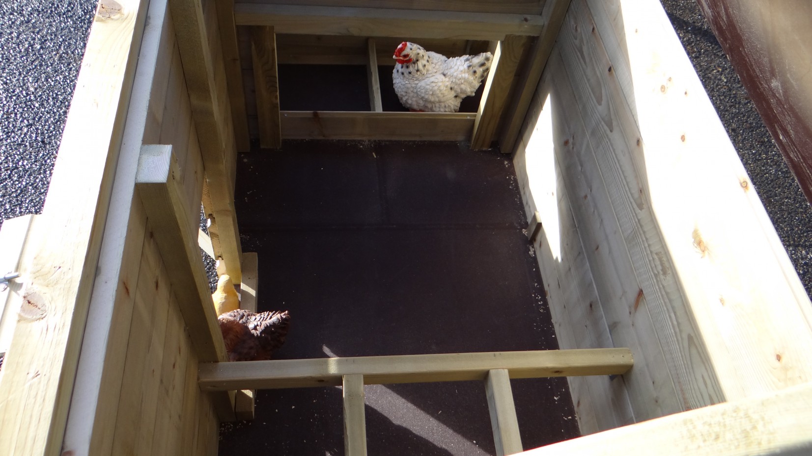 Kippenhok Chicky 2, praktisch en onderhoudsvrij.