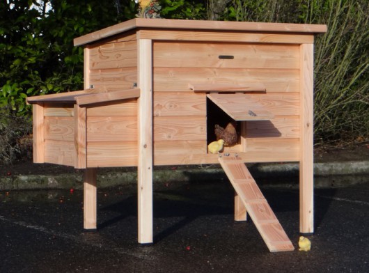 Kippenhok Chicky 2 met legnest Douglas 145x84x125cm