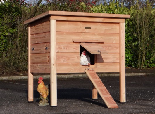 Kippenhok Chicky 2 Douglas 118x84x125cm