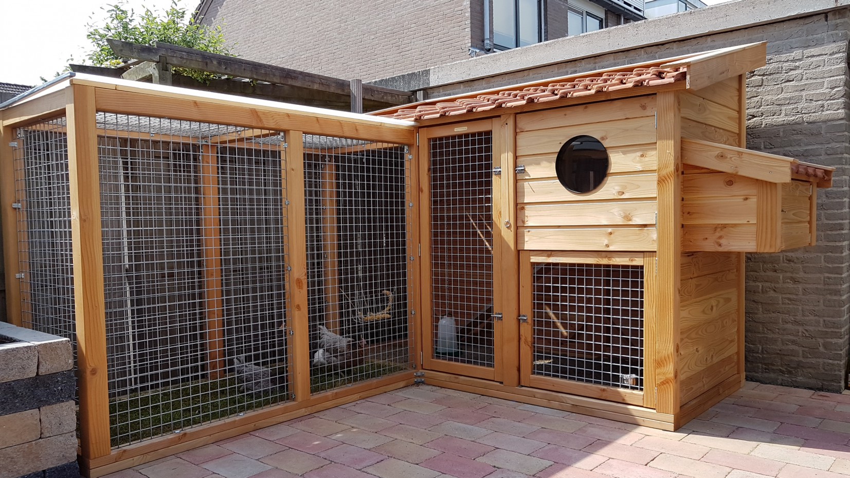 Luxe Kippenhok Supreme Douglas Hout Met Extra Ren