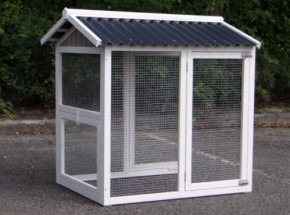 Kippenren Kopen 140 Kippenrennen Online