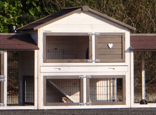 Plexiglas isolatieset · voor konijnenhok Regular Medium met 2 rennen