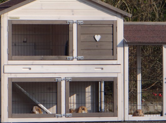 Plexiglas isolatieset · voor konijnenhok Regular Medium met 1 ren