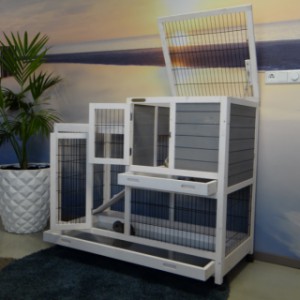 SHOWMODEL - konijnenhok Esmee White-Grey 120x60x106cm
