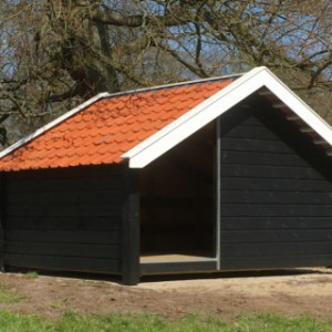 Schapenhok voor meerdere schapen.
