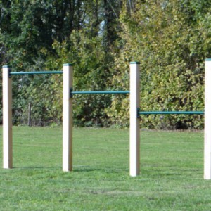 Groot duikelrek met 3 stangen van 125cm