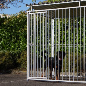 Hondenkennel FLINQ Inclusief dak 2x1.5m