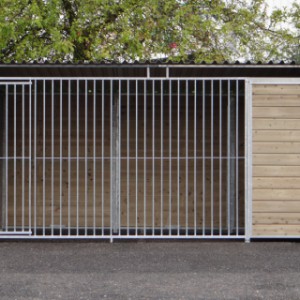 Hondenkennel FORZ Inclusief dak 4x2m