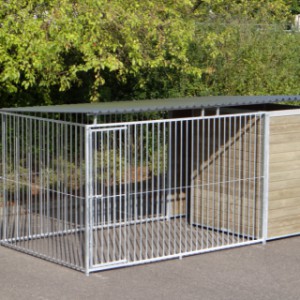 Hondenkennel FIX Inclusief dak 4x2m