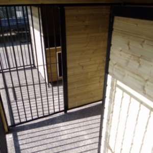 Hondenkennel COMPART met 2 nachthokken 566x240x222cm