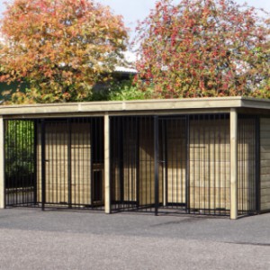 Hondenkennel COMPART met 2 nachthokken 566x240x222cm