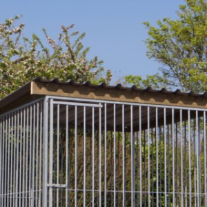 De hondenkennel is voorzien van een dak Extra