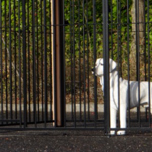 De hondenkennel bestaat uit 6 zwarte spijlenpanelen