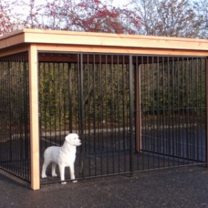 Hondenkennel FLINQ zwart met luxe dak en Douglas houtkader 3x2m