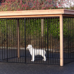 Hondenkennel FLINQ zwart met luxe dak en Douglas houtkader 3x2m