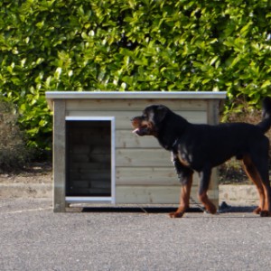 Hondenhok Ferro is bedoeld voor middelgrote honden, niet voor een Rottweiler ;)