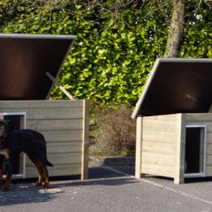 Hondenhok Ferro en Wolf met Rottweiler