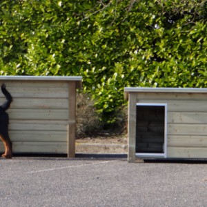 Hondenhokken met plat dak, waar uw hond bovenop kan liggen