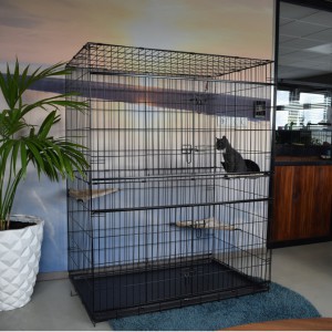 SHOWMODEL - kattenkooi Lift 122x76x159cm