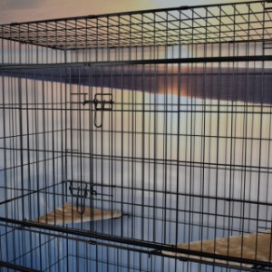 SHOWMODEL - kattenkooi Lift 122x76x159cm