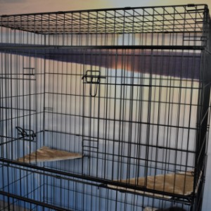 SHOWMODEL - kattenkooi Lift 122x76x159cm