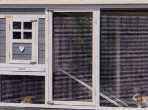 Plexiglas isolatieset · voor konijnenhok Julia