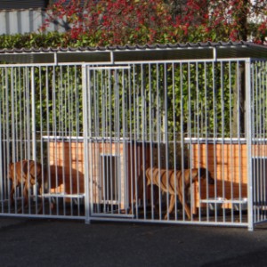 Kennel Flinq 2x4 m met dak, nachthokken, en voederstellen.