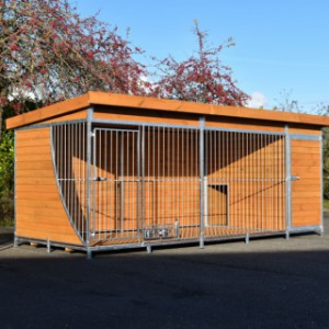 Hondenkennel Heavy 5x2meter